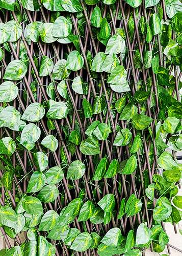 فنس آکاردئونی